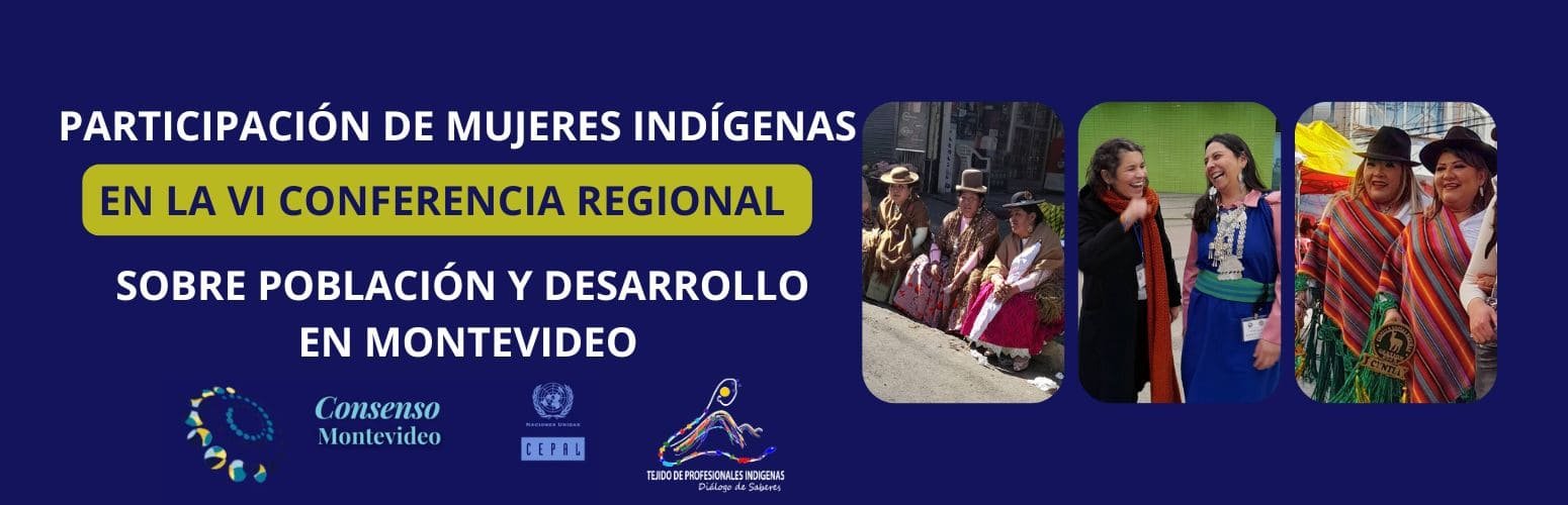 PARTICIPACIÓN DE MUJERES INDÍGENAS EN LA VI CONFERENCIA REGIONAL SOBRE POBLACIÓN Y DESARROLLO EN MONTEVIDEO